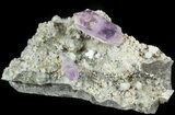 Beautiful Amethyst Crystals on Matrix - Namibia #46021-1
